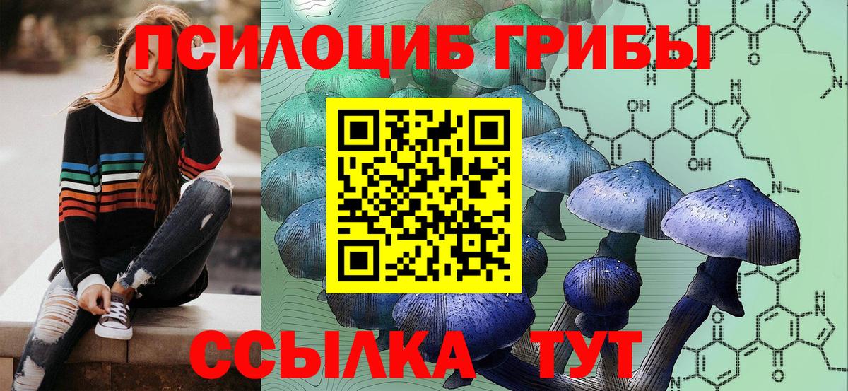 Новочеркасск  Галлюциногенные грибы Psilocybe  Галлюциногенные грибы MAGIC MUSHROOMS  Вход с VPN 